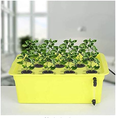 SUCOHANS 200 Pack Cloning Collars Inserts Premium Grade Foam, Cloner Collars, Better Than Neoprene for Hydroponics Plant Germination in DIY Cloner & Clone Machines, Fits 2 Inch Net Cups (Black)