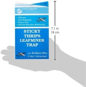 Seabright HGSLTLT Sticky Thrip Leafminer Trap, Pack of 5