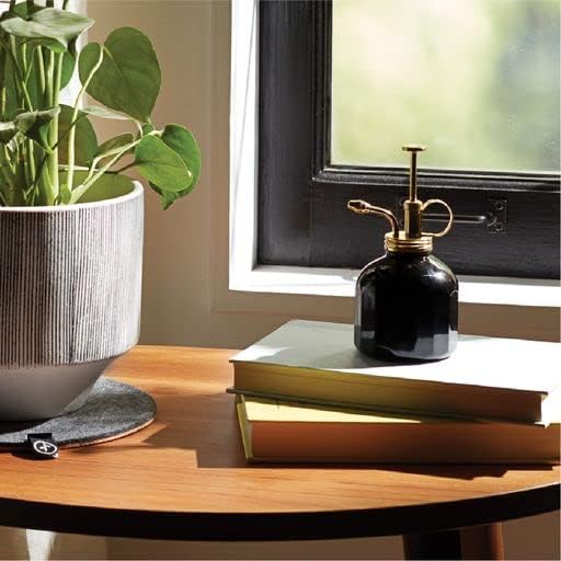 Modern Sprout Plant Mister, 8 oz Indoor Watering Can, Aesthetic Plant Sprayer & Water Mister Spray Bottle, Garden Watering Can for Seed Starting, Vintage-Inspired Gift for Father's Day - Black