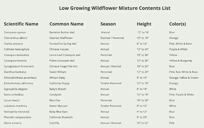 Seed Needs 2 Ounce Low Growing Wildflower Flower Seeds for Planting | Mixture/Blend 17 Varieties | Resealable Package Multicolored Blooms Open Pollinated Mixed Species | Bulk