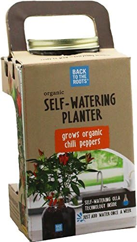 Windowsill Planter: Chili