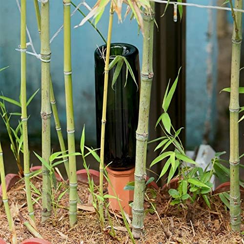 Jovitec 6 Pieces Terracotta Plant Watering Stakes Self Watering Spikes Automatic Plant Waterers Devices for Indoor Outdoor Home and Office Plants (Rustic Red)