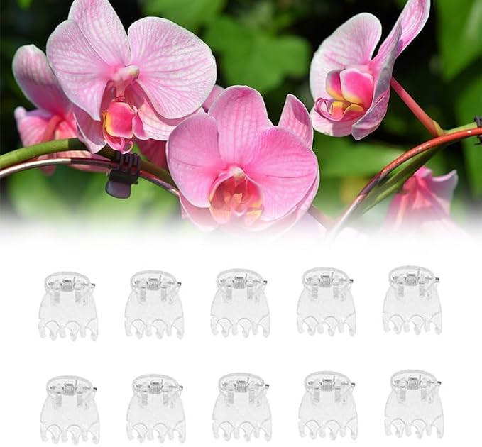 50Pcs Plant Orchid Clips Flowers Support Clear Fixer for Garden Vine Stem Plants Climbing Clasp Transparent 6 Claws Orchid Clips Plastic Butterfly Plant Support Structures