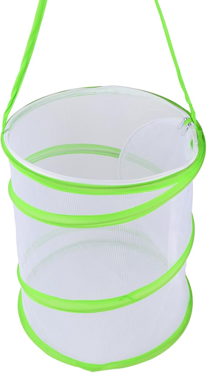 Insect Lore Butterfly Garden Habitat Foldable Washable and Reusable Butterfly Cage (Green-A, Medium)