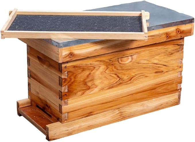MayBee 5-Frame Nuc Beehive Box for Beekeeping Complete Bee Hive Nuc Box Kit Dipped in 100% Beeswax Includes 5 Wooden Frames & Heavy Wax Coated Foundations