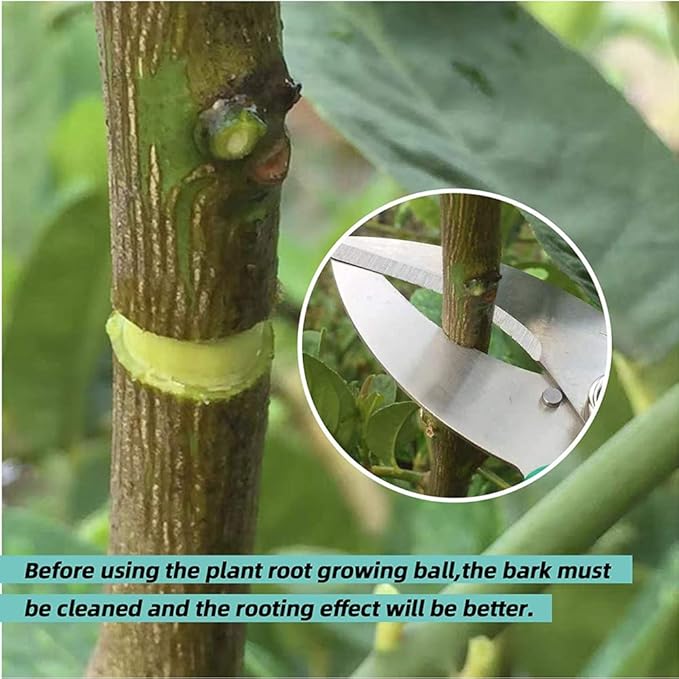 Air Layering pods, Reusable Plant Rooting Device Plant Rooting Grow Box High Pressure Propagation Ball Grafting Device Botany Root Controller Garden Plant Rooter Box (2S+2M+2L, Transparent)