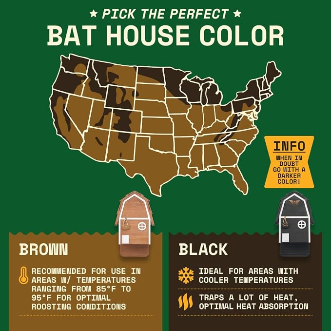 Big Bat Box - Bat Barn Junior 2 Chamber, Compact Bat House for Outside - Artificial Roost Kit for Wall-Mount - Bat Houses for Backyards