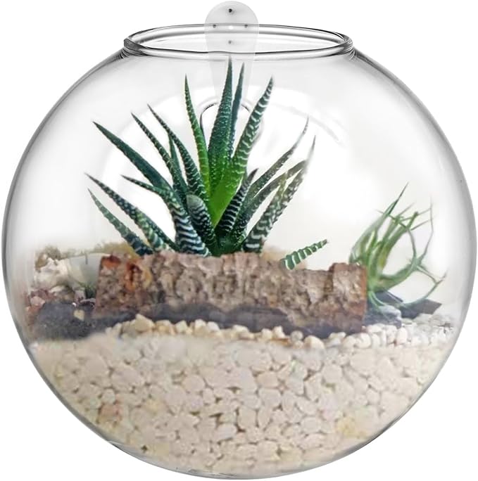 yarlung Set of 6 Wall Hanging Planter Terrarium, Clear Glass Plant Vase Wall Mount for Propagating Hydroponics Plant, Indoor Air Plants, Stylish 6 Shapes (Plants Not Included)
