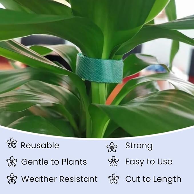 Reusable Plant Ties Hook and Loop Soft Garden Tape Roll Gentle Plant Supporting Ties Double Sided Self Gripping Adjustable Garden Staking Straps for Climbing Plants and Vines (1/2 Inch x 82 ft, Green)