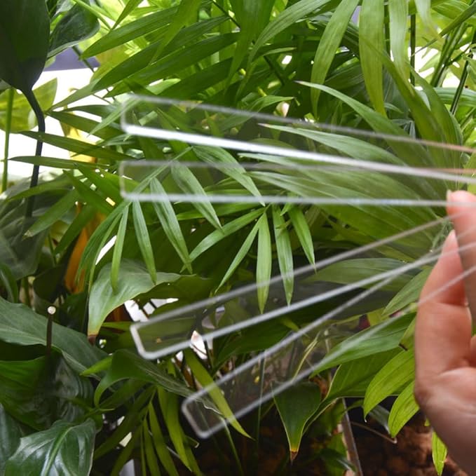 Garneck 2sets Plant Tags and Labels Acrylic Plant Markers Easy to Use Garden Stake Tags Long Lasting for Gardeners 24pcs*2