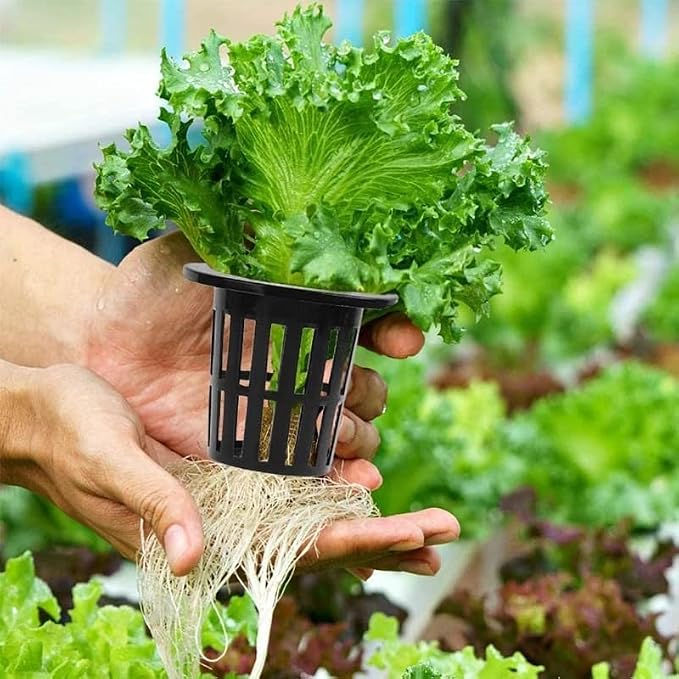 100PCS 1.75" Mesh Net Cup Pots Basket Hydroponics System Supplies Aquaponics Seed Growing Media Black