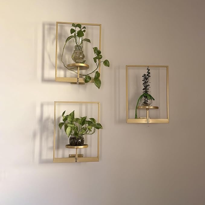 Picture Frame Wall Planters Set of 3, Modern Metal Hanging Shelves for Plants, Rustproof Wall Mount Flower Pot Holder for Indoor Outdoor, Decorative Plant Stand for Living Room Patio, Black