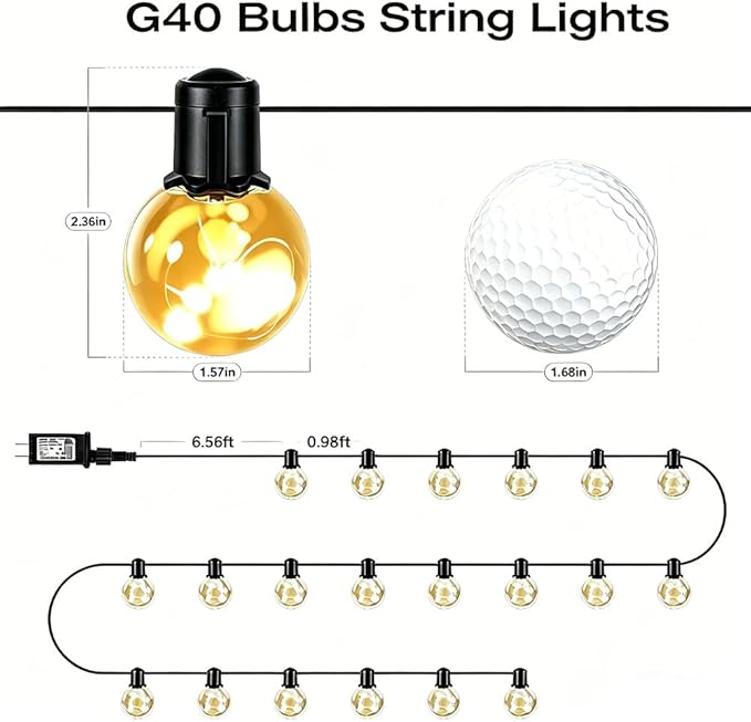 Outdoor String Lights Plug in, 25ft 20 LED Bulbs Hanging Patio Lights Dimmable with Timer & Remote, Globe Bulb Shatterproof & Waterproof for Indoor Backyard Balcony Decor - Warm White & Multi
