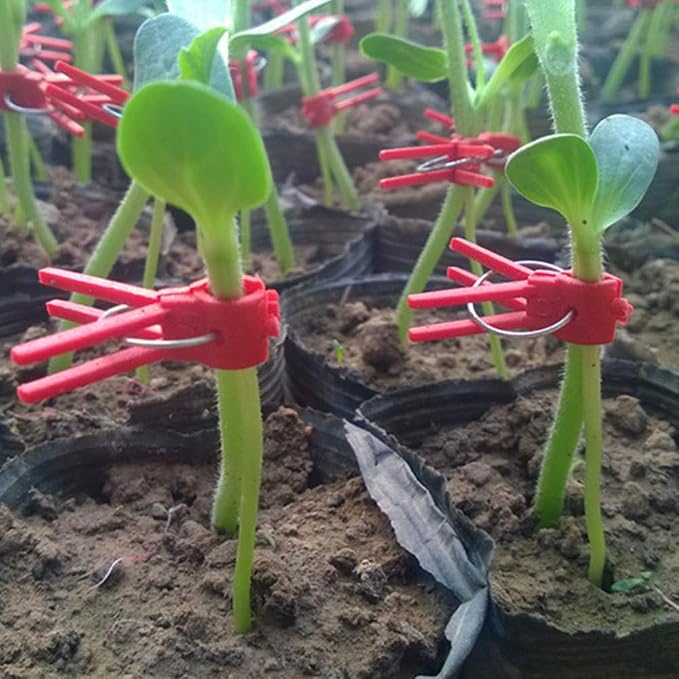 Suxgumoe Plants Graft Clips, 100PCS Plastic Round Mouth Grafting Clips Gardening Tool for Cucumber Eggplant Tomato Watermelon