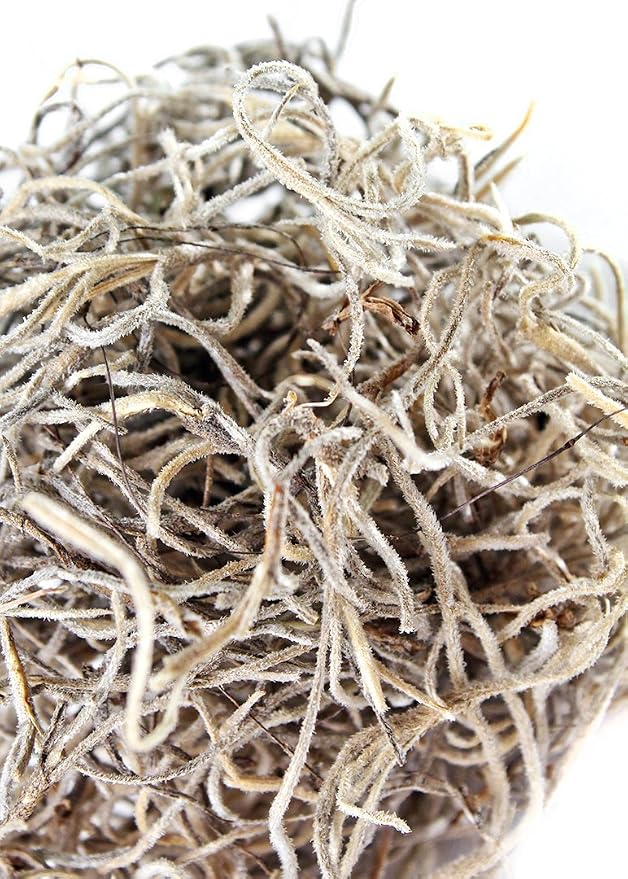 SuperMoss (26901) Spanish Moss Dried – Decorative Moss for Crafts, Potted Plants, Fairy Gardens, Vase Filler, Floral Arrangements & Indoor/Outdoor Garden Projects, 120 cu in, Natural