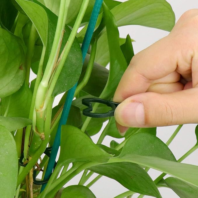 Hysagtek Plant Clips 200 Pcs Garden Clips Plant Support Clips for Climbing Plants Vine Fixing Clips for Plants Stem Support Tomatoes Cucumbers Flowers (L+M+S)