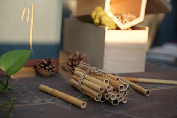 INature 100-Pack 6-Inch Natural Bamboo Tubes - Eco-Friendly Mason Bee House Refills | Perfect for Bee Hotels, Pollinator Boxes | Solitary Bee Hive Supplies