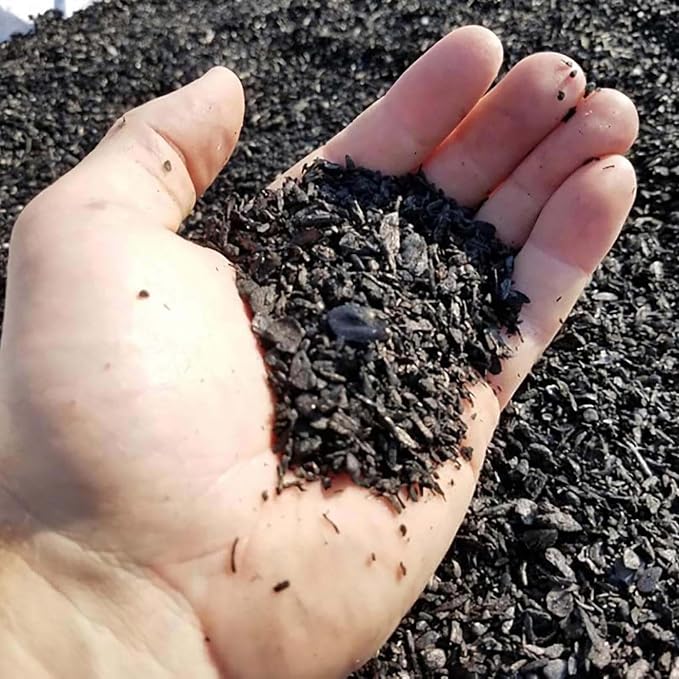Char Bliss (1 Qt) - Organic Biochar for Plants - OMRI-Listed Biochar Soil Amendment Organic - Horticultural Charcoal for Plants, Gardening, & Potting Soil - 100% Natural and Renewable Bio Char