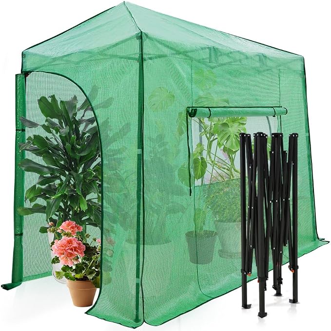 EAGLE PEAK 10x5 Portable Walk in Greenhouse, Pop Up Indoor Outdoor Greenhouse, Green House Kit with Zippered Roll-Up Doors and Windows, Lean-to Design, PE Cover, Clear/Green