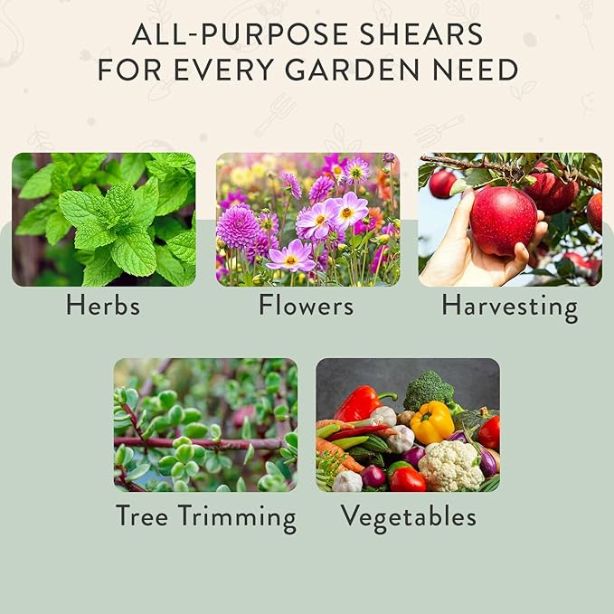 Modern Sprout Pruning Shears - Herb Snipping Scissors- Lightweight Gardening Tools W/Easy Lock - Flower Cutter Garden Shears - Gift for Father's Day- Carbon Steel Blade + Reusable Holster(Sage,1-Pack)