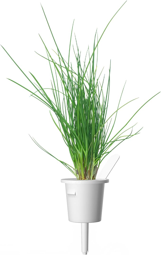 Click and Grow Smart Garden Chives Plant Pods, 9-Pack
