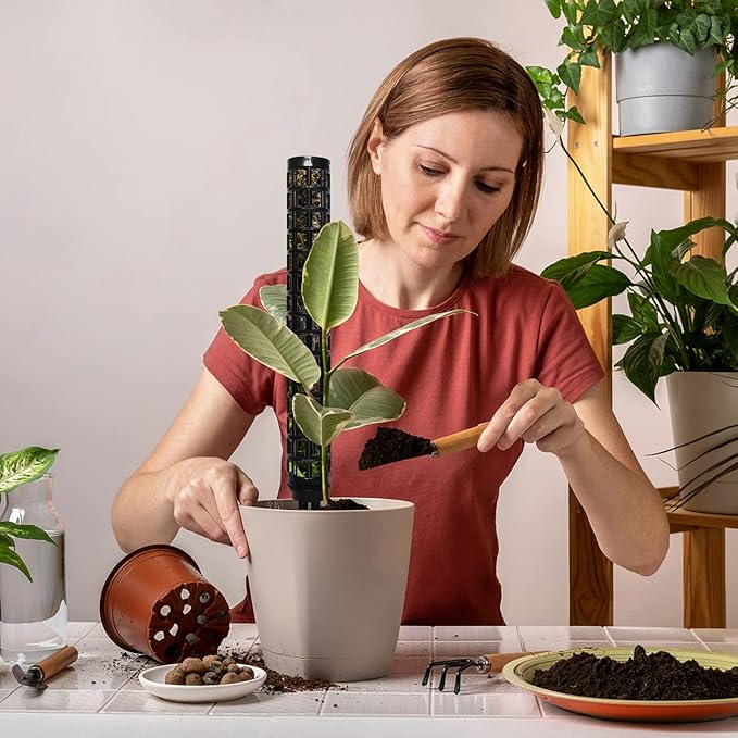 Moss Pole for Climbing Plants Monstera, Indoor Plant Supports, Plastic Moss Stick, Plant Stake for Garden, Extension Aid Climbing Rob (Black, 2pcs 10inch)