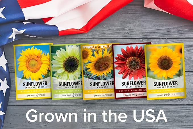 Sunflower Growing Kit β 5 Giant & Colorful Sunflowers Gifts for Women β Non-GMO Heirloom Seeds, Complete Indoor & Outdoor Sunflower Garden Grow Kit, Easy to Grow & Perfect for Pollinators