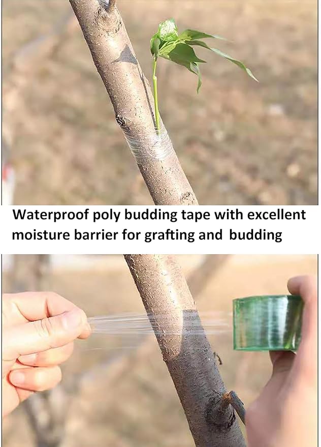 1.2inch Grafting Tape for Floral Fruit Trees Stretchable Garden Grafting Tape Plants Repair Tapes Poly Budding Tape Seedling Graft (White 2pcs +Green 2pcs)