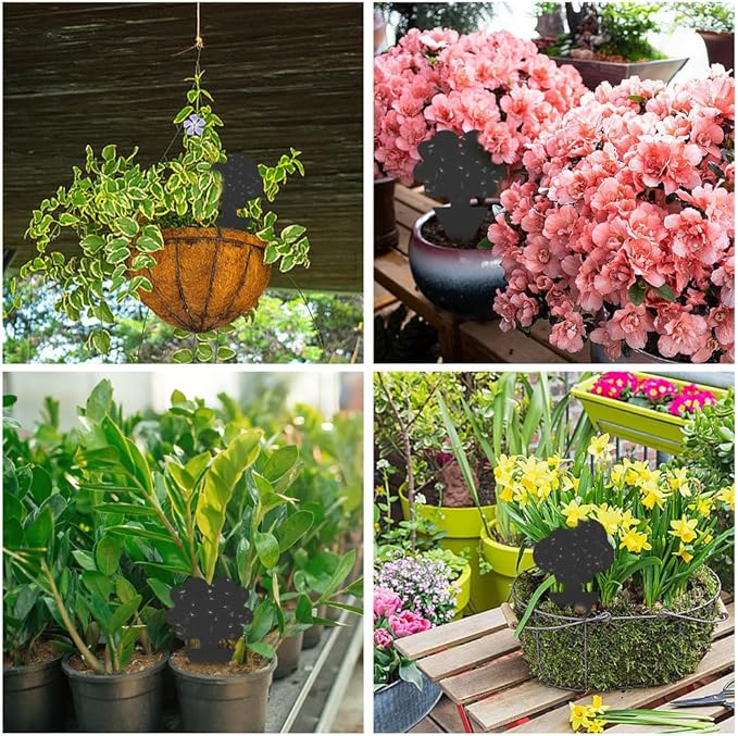 58 Pack Gnat Killer Sticky Traps for Plants - Black Fungus Gnat Sticky Trap for Indoor Houseplants, Fruit Flies, Whiteflies, Aphids - Family Friendly Design, Flower and Cloud Shapes