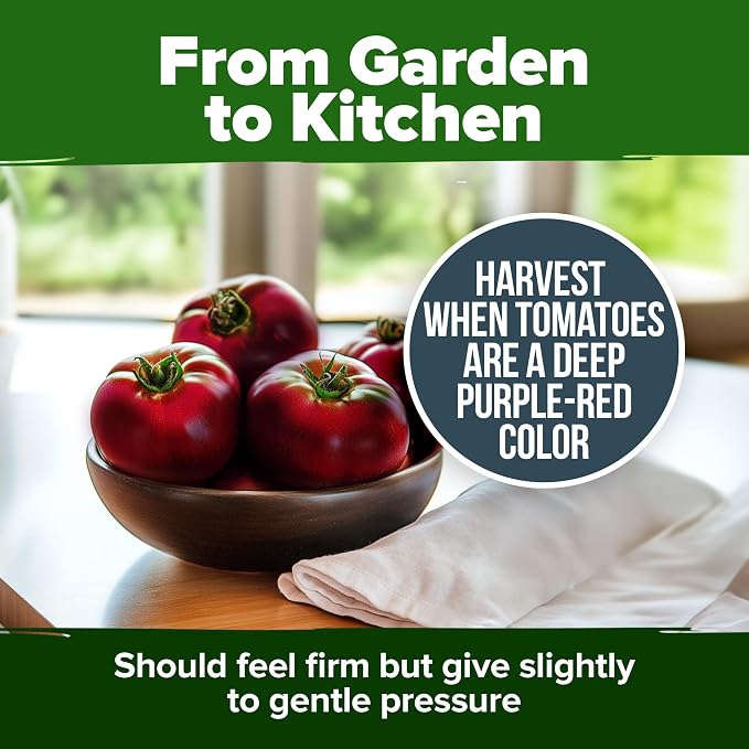 HOME GROWN Heirloom Garden Seed Kit β 3-Pack | Cherokee Purple & Large Red Cherry Tomato + Luffa Seeds | Non-GMO, USA-Sourced, High Germination Vegetable & Loofah Seeds for Sustainable Gardening