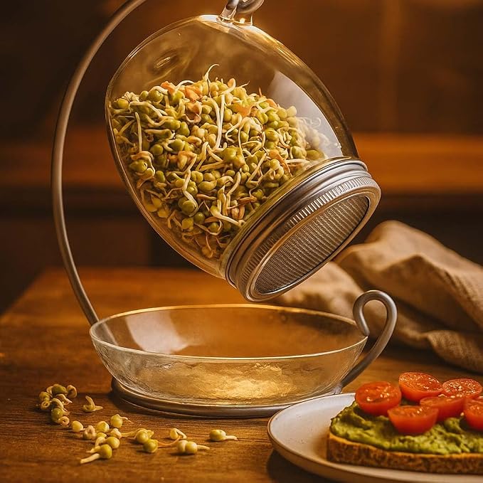Premium Sprouting Jar Kit - Unique 30 oz Wide Mouth Sprouting Jar, Stand, Tray and 316 Stainless Screen Lid | Decorative Indoor Seed Sprouter and Germinator (1 Kit)