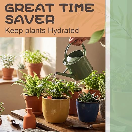 DoubleFill 1 Pcs 50 oz Ollas Terracotta Watering Pots Self Watering Planter Insert Terracotta Globes Clay for Outdoor Indoor Garden Plants, Easy to Refill