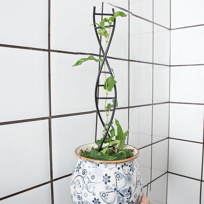 DNA Spiral Plant Trellis Indoor - Durable Metal Trellis for Potted Plants, Perfect for Small Houseplant Pots, Ideal for Ivy and Pothos, Space-Saving Vertical Support for Climbing Growth