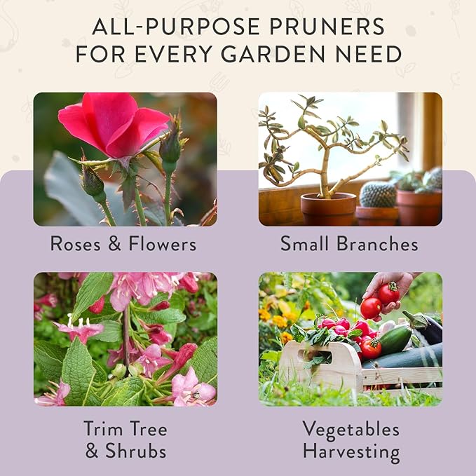 Modern Sprout Hand Pruners - Lightweight Pruning Shears W/Easy Lock- Gardening Scissors -Bypass Sharp Carbon Steel Blade- Rust Resistant- Garden Tools- Reusable Holster- Gift for Father's Day-Lavender