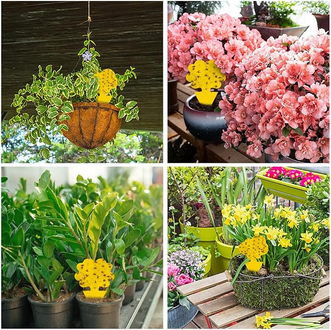 58 Pack Gnat Killer Sticky Traps for Plants - Yellow Fungus Gnat Sticky Trap for Indoor Houseplants, Fruit Flies, Whiteflies, Aphids - Family Friendly Design, Flower and Cloud Shapes