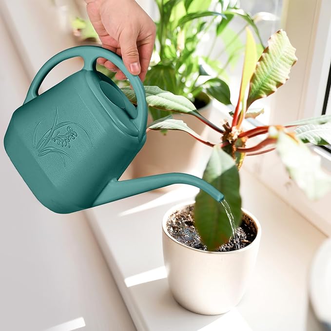 Hand Plastic Watering Can - for Home Plant Garden - 1/2 Gallon - Green
