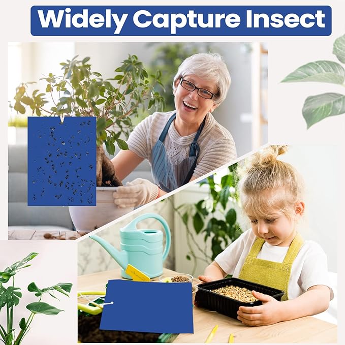 Qualirey 200 Pcs 6x8 Inch Blue Sticky Traps for Thrips Double Sided Sticky Trap for Gnats Plant,Pest Control for Fungus Gnats, Thrips, Whiteflies – Bulk Pack with Twist Ties