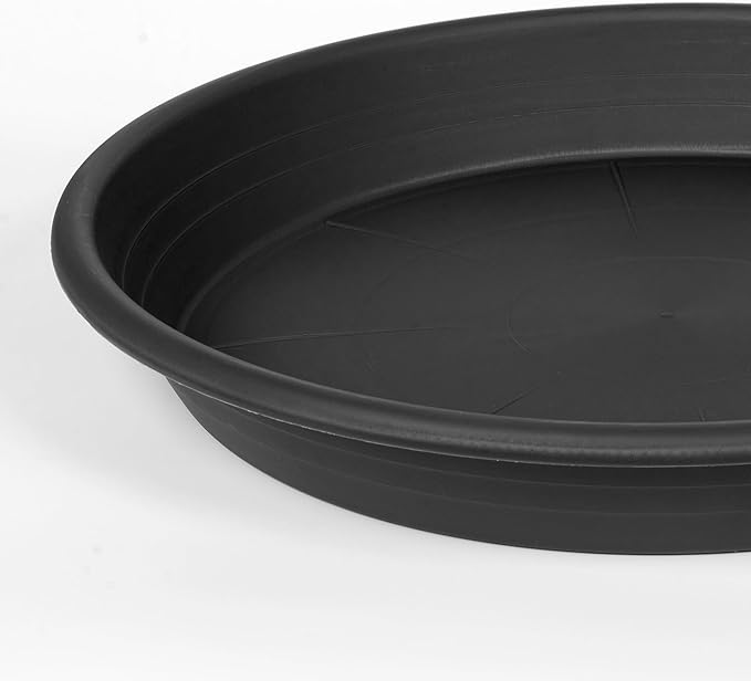 6 Pack Plant Saucer 8 inch, Heavy Duty Plastic Plant Water Tray, Planter Saucers, Flower Pot Tray, Planter Tray, Bird Bath Bowls, Water Trays for Plant Pots 7"/8" (Black)