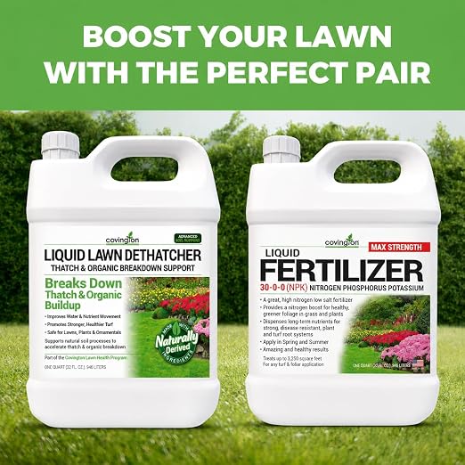 Covington Liquid Lawn Dethatcher (32oz) – Liquid Aerator Concentrate & Humic Thatch Remover, Soil Softener & Grass Thatch Buster for Lawns & Gardens – Kids & Pet Safe, Made in USA