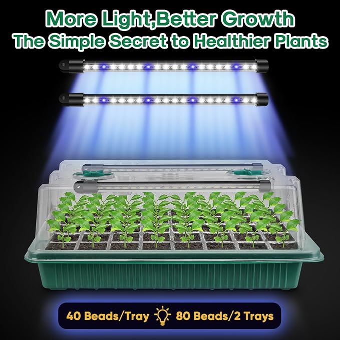 BlumWay Seed Starter Tray with Grow Light,2 Pack 80 Cells Seedling Tray Kit with Humidity Dome/Indoor Plant Starter Kit, Adjustable Brightness Plant Germination Trays-Green