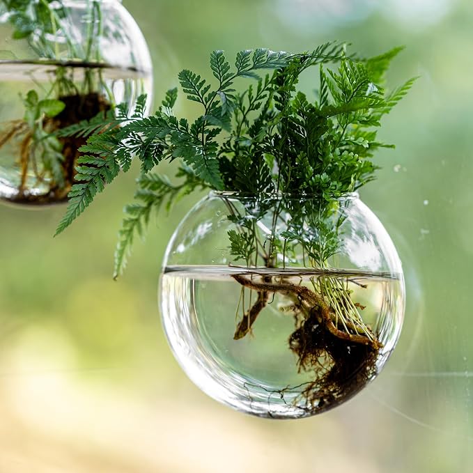 Window Propagation Stations, Oblate Glass Terrariums Planter with Suction Cup Hook, Wall Hanging Planters for Hydroponics Plants, Home, Office, Bathroom, Living Room Decor, Gift for Plant Lovers (2)