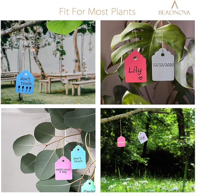 BEADNOVA Plant Hanging Tags 100pcs Tags with String Reusable Plant Labels Markers Plastic Garden Signs Garden Markers for Outdoor (2 Inch, White)