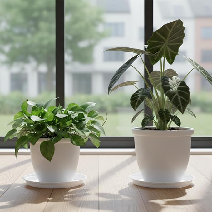 TRUEDAYS 20 Pack White Plant Saucers β 4 Sizes (6"/8"/10"/12") Plastic Flower Pot Trays for Indoor & Outdoor Plants, Drip Trays to Protect Floors & Surfaces