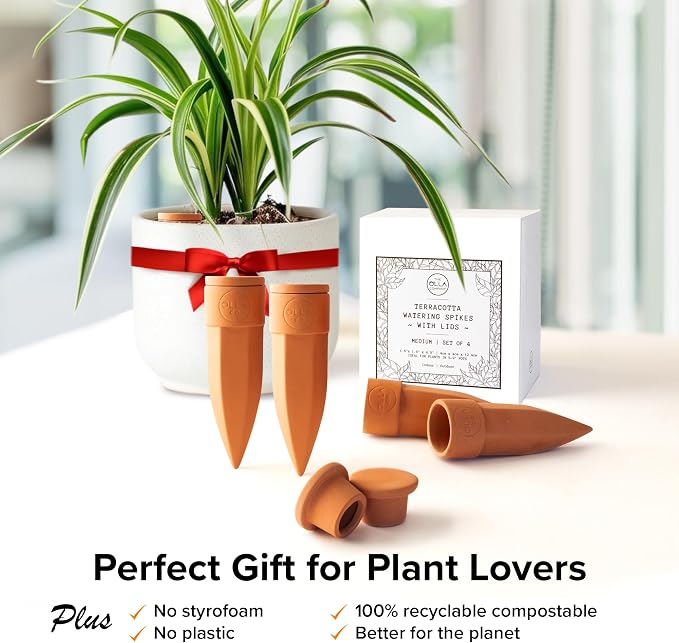 The Olla Company Plant Watering Spikes with Lids - Ideal for 5”-9” Pots - Vacation Friendly - Terracotta - Medium - Set of 4