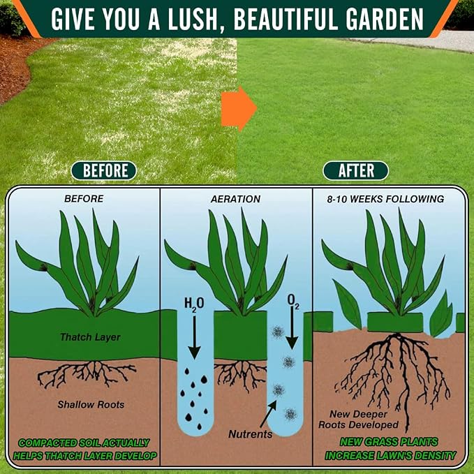 Colwelt Lawn Aerator Tool 38inch, Heavy Duty Grass Spike Aerator for Compacted Soil Aeration, Manual Lawn Air Aerators Tool with,Wide Foot Plate, Rugged Steel Spikes 3.5’’ in Length, 2/5’’ in Dia.