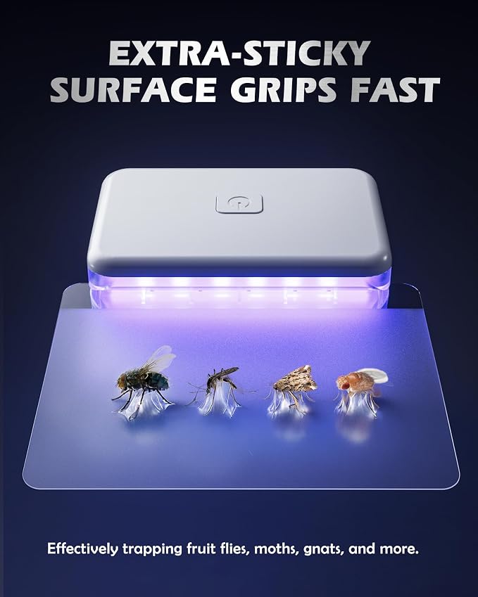 LFSYS 3 Pcs Fruit Fly Traps for Indoors (3 Device+20 Refills) Plug in Fly Trap for Gnats, Fruit Flies, Flying Insects Sleek Design Indoor Safe