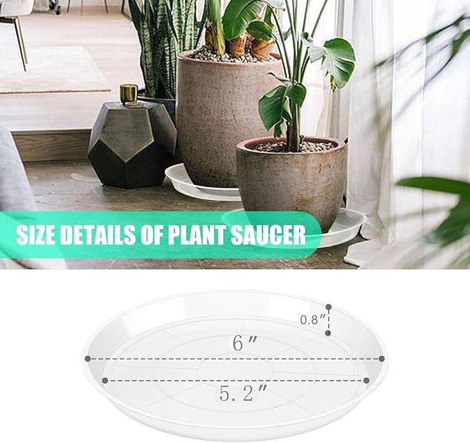 OUPSAUI 4 Pack Clear Plant Saucer 4 6 8 10 12 14 16 18 20 22 Inch Plant Trays for Pots, Plastic Extra Large Planter Saucers for Outdoors Indoors, Drip Catcher Water Tray for Plants (6 Inch)