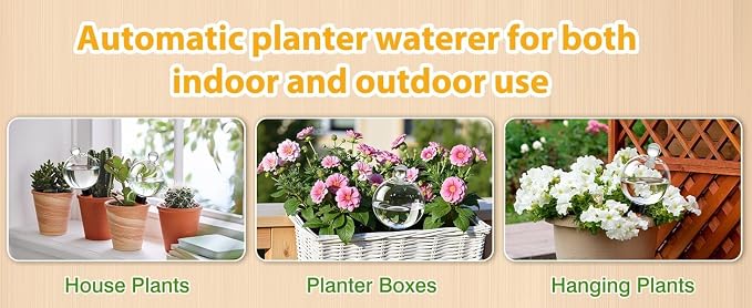 DI QIU REN 6 Pack 19oz Large Self Watering Globes, Automatic Plant Waterer with Glass Stopper - Slow Release Bulbs & Planter Insert, Top-Fill Water Spikes for Indoor Plants (6, Clear)