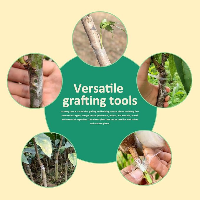Grafting Tape 3 Pack – Stretchable Self-Adhesive Plant Grafting Film, Budding & Nursery Repair Tape for Fruit Trees, Floral Plants, Garden Stem Fix & Plant Support (Clear)