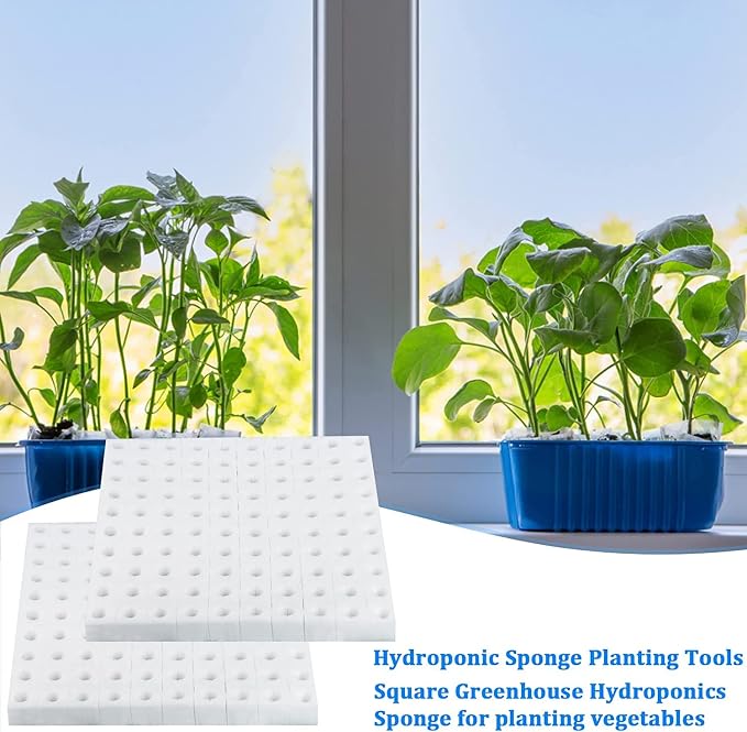 600 Pcs Hydroponic Sponges Planting Gardening Tool Soilless Cultivation Seedling Sponges Cultivation Sponge Greenhouse for Small Bud Growth & Grow Seedlings